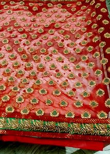 Light Weight Net Saree