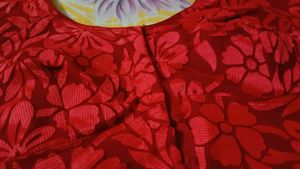 Red Embroidered Blouse