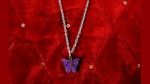 Unused Butterfly Locket