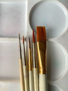 Plastic Paint Palette With Brush Combo