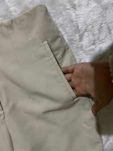 Zara High Waist Pleated Pant