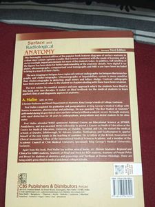 surface and radiological anatomy