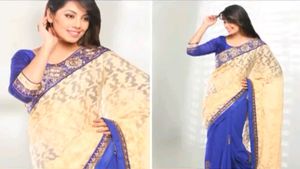 Elegant Embroidered Saree