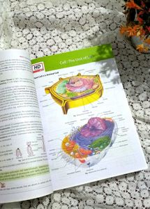 Objective NCERT at Your Fingertips