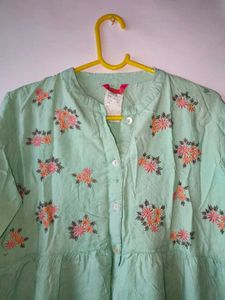 Pinteresty Mint green short kurti flower embroider