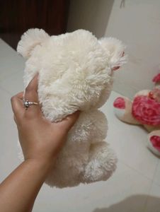 Teddy For Kids