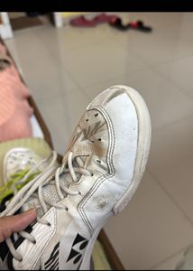 Yonex Power Cushion SHB 65 Z3 (Badminton)