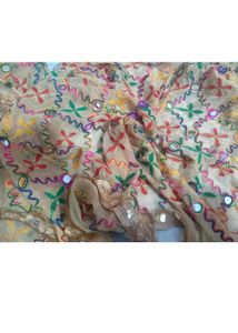 Women Phulkari Sheesha Duppatta