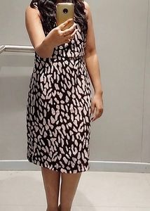 Animal Print Nude Pink and Black Dress