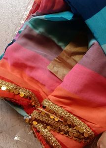 Vibrant Striped Sarre with Gold Trim