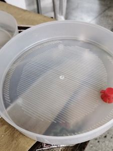 4 Layer Sprouts Makers