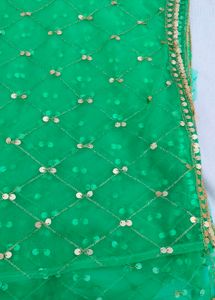 Green Net Dupatta lehenga