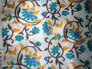 Organza Handloom Saree