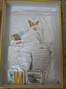 Educational Toy For 3 To 5 Years