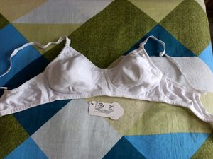 Floret T-shirt Light Padded 2 Piece Bras ( White &amp;