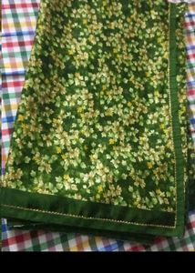 Beutiful Shining Saree