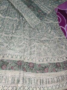 Pista Colour Pakistani Style Sharara Suit