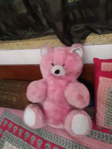 Pink Teddy