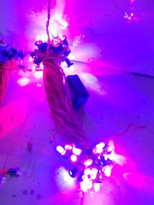 Led Light ( 1nos)
