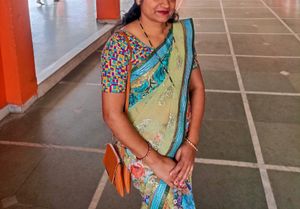 Net Saree