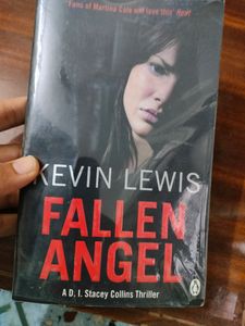 Kevin Lewis's Fallen Angel