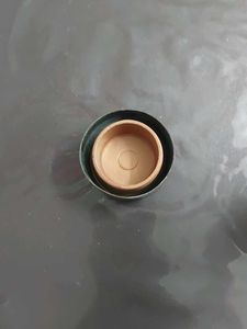 Milton Copper Bottle