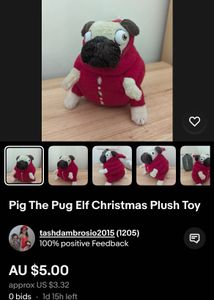 Pig the Pug