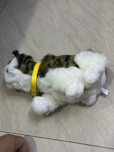 Cute Plush Cat Toy