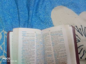 Pocket Dictionary Eng To Hindi