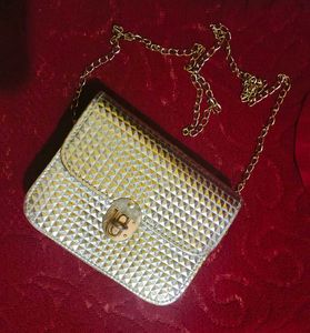 Stunning Silver Sling Bag