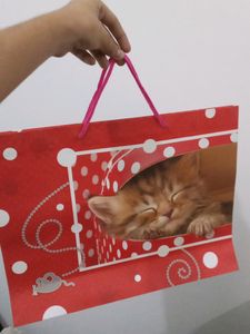 Best Bag For Girls (For Exams, Market etc.