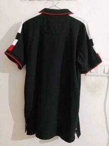 Striped Trim Polo Shirt