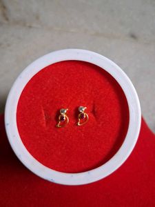 beautiful parrot 🦜 design studs