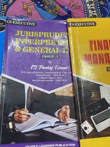 Cs Executive(Help Books)