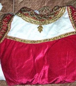 Pink Velvet & Gold Embroidered Grown