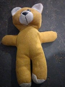 Chhota Teddy Bear