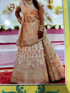 Elegant Lehenga Choli
