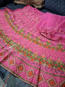 Pink Embroidered Lehenga Choli