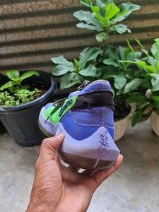 Nike Zoom Freak 2