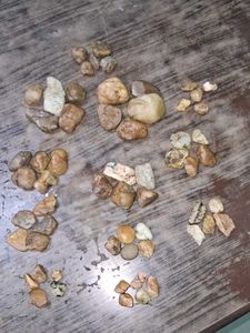 Decorative River Rocks