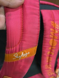 Skybags Backpack/school Bag