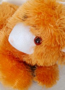 Baby's Soft Toys
