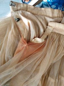 Heavy Flared Backless Choli Lehnga
