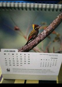 New Year Table Calendar