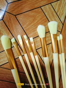 10 Makeup Brushes
