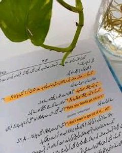 PEER E KAMIL (NOVEL)