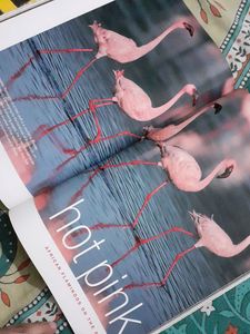 Nat Geo Mag (Dec 2003)