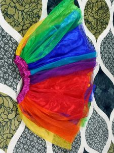 Multi Coloured Skirt