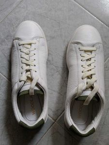 Sneaker for Men