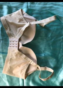32B Hot Padded Bra Underwire